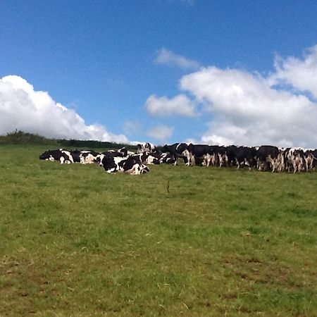 North Hollacombe Farm Crediton Luaran gambar